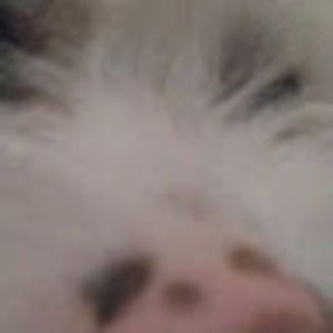 Meet your Posher, Vicki